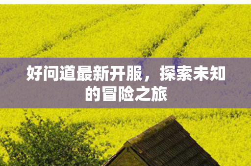 好问道最新开服，探索未知的冒险之旅