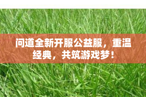 问道全新开服公益服，重温经典，共筑游戏梦！