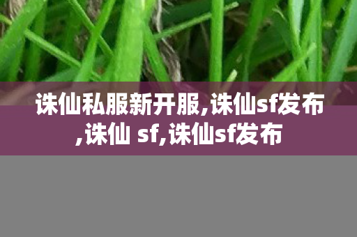 诛仙私服新开服,诛仙sf发布,诛仙 sf,诛仙sf发布