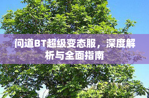 问道BT超级变态服，深度解析与全面指南
