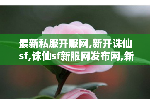 最新私服开服网,新开诛仙 sf,诛仙sf新服网发布网,新开诛仙 sf