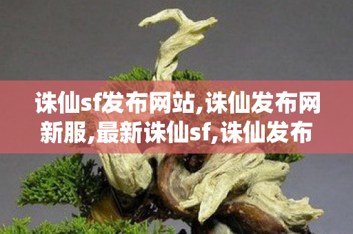 诛仙sf发布网站,诛仙发布网新服,最新诛仙sf,诛仙发布网新服