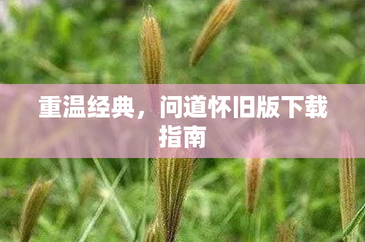 重温经典，问道怀旧版下载指南