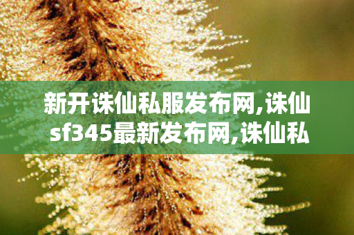 新开诛仙私服发布网,诛仙 sf345最新发布网,诛仙私服发布,诛仙 sf345最新发布网