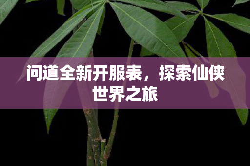 问道全新开服表，探索仙侠世界之旅