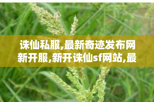 诛仙私服,最新奇迹发布网新开服,新开诛仙sf网站,最新奇迹发布网新开服