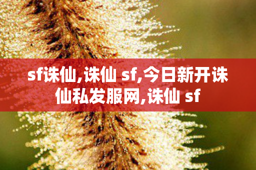 sf诛仙,诛仙 sf,今日新开诛仙私发服网,诛仙 sf
