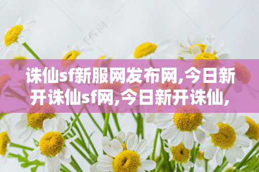 诛仙sf新服网发布网,今日新开诛仙sf网,今日新开诛仙,今日新开诛仙sf网