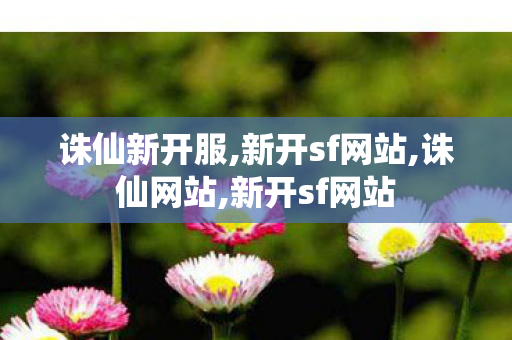 诛仙新开服,新开sf网站,诛仙网站,新开sf网站