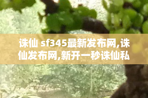 诛仙 sf345最新发布网,诛仙发布网,新开一秒诛仙私服,诛仙发布网
