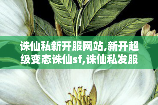 诛仙私新开服网站,新开超级变态诛仙sf,诛仙私发服网,新开超级变态诛仙sf
