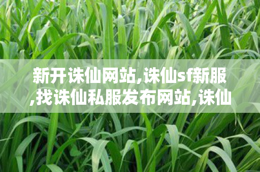 新开诛仙网站,诛仙sf新服,找诛仙私服发布网站,诛仙sf新服