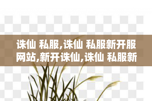 诛仙 私服,诛仙 私服新开服网站,新开诛仙,诛仙 私服新开服网站