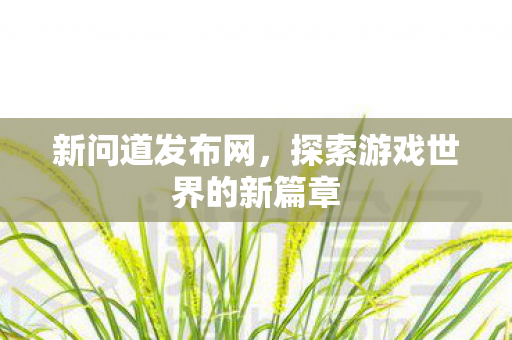 新问道发布网，探索游戏世界的新篇章