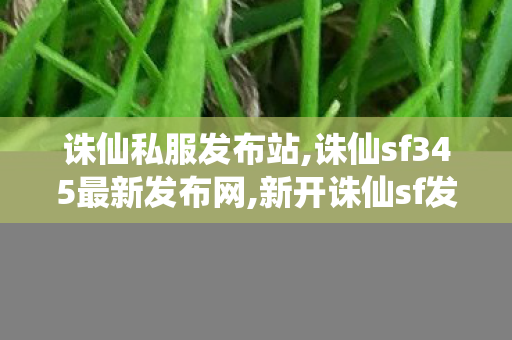 诛仙私服发布站,诛仙sf345最新发布网,新开诛仙sf发布网,诛仙sf345最新发布网