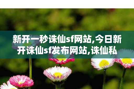 新开一秒诛仙sf网站,今日新开诛仙sf发布网站,诛仙私服新开服网站,今日新开诛仙sf发布网站