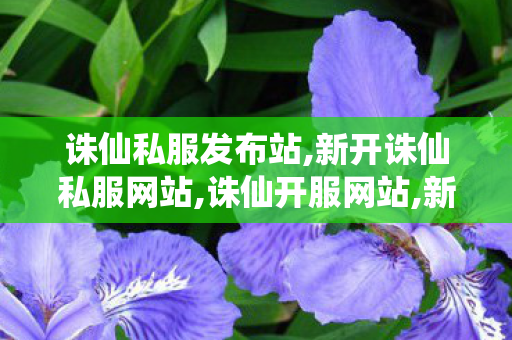 诛仙私服发布站,新开诛仙私服网站,诛仙开服网站,新开诛仙私服网站