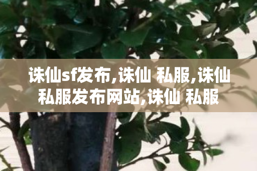 诛仙sf发布,诛仙 私服,诛仙私服发布网站,诛仙 私服
