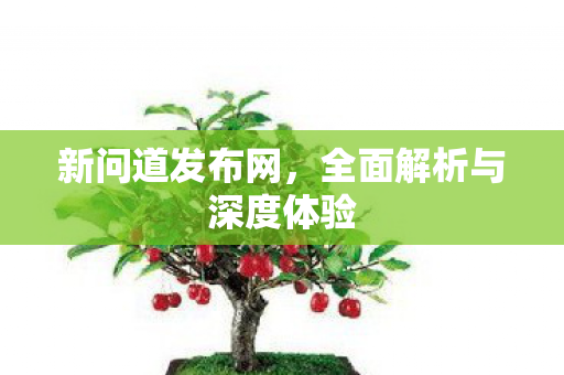 新问道发布网，全面解析与深度体验