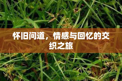 怀旧问道，情感与回忆的交织之旅