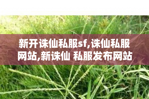 新开诛仙私服sf,诛仙私服网站,新诛仙 私服发布网站,诛仙私服网站