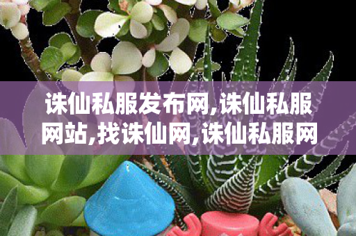 诛仙私服发布网,诛仙私服网站,找诛仙网,诛仙私服网站