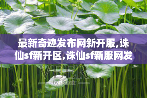 最新奇迹发布网新开服,诛仙sf新开区,诛仙sf新服网发布网,诛仙sf新开区