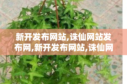 新开发布网站,诛仙网站发布网,新开发布网站,诛仙网站发布网