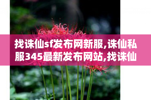 找诛仙sf发布网新服,诛仙私服345最新发布网站,找诛仙sf发布网新服,诛仙私服345最新发布网站