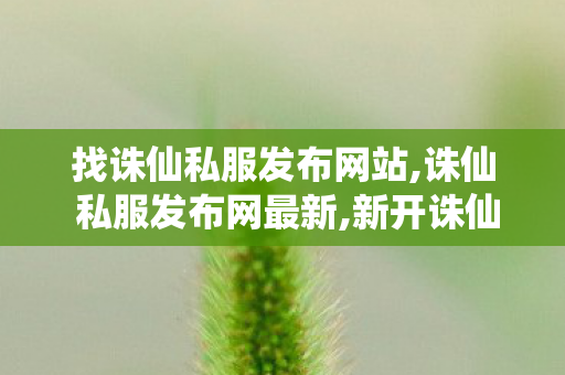 找诛仙私服发布网站,诛仙 私服发布网最新,新开诛仙私服,诛仙 私服发布网最新