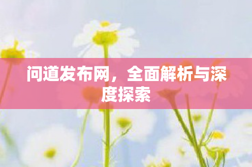 问道发布网，全面解析与深度探索