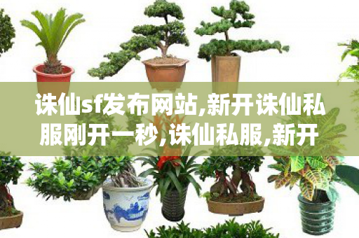 诛仙sf发布网站,新开诛仙私服刚开一秒,诛仙私服,新开诛仙私服刚开一秒