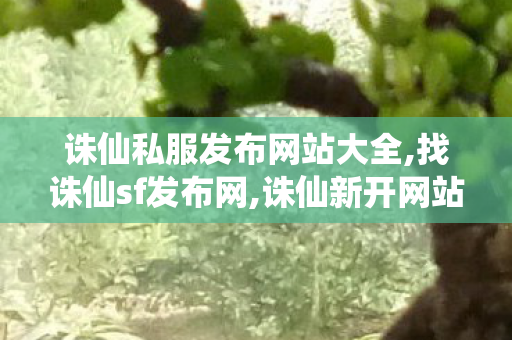 诛仙私服发布网站大全,找诛仙sf发布网,诛仙新开网站,找诛仙sf发布网