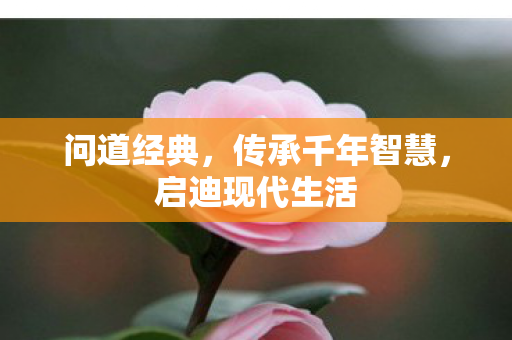 问道经典，传承千年智慧，启迪现代生活