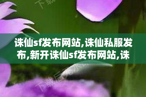 诛仙sf发布网站,诛仙私服发布,新开诛仙sf发布网站,诛仙私服发布