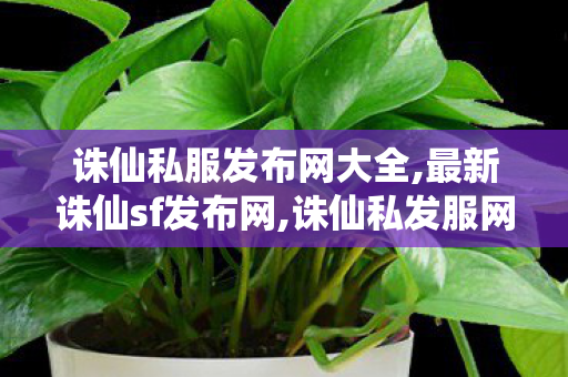 诛仙私服发布网大全,最新诛仙sf发布网,诛仙私发服网,最新诛仙sf发布网