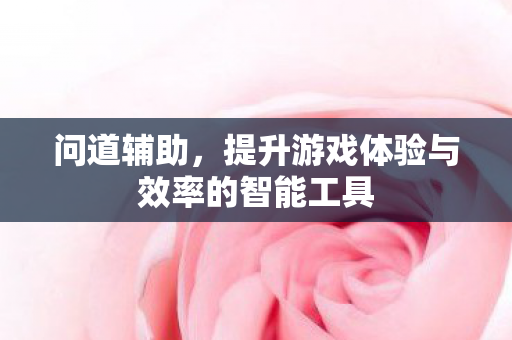 问道辅助，提升游戏体验与效率的智能工具