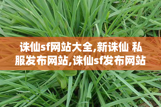 诛仙sf网站大全,新诛仙 私服发布网站,诛仙sf发布网站,新诛仙 私服发布网站