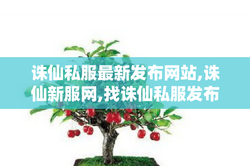 诛仙私服最新发布网站,诛仙新服网,找诛仙私服发布网站,诛仙新服网