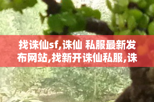 找诛仙sf,诛仙 私服最新发布网站,找新开诛仙私服,诛仙 私服最新发布网站