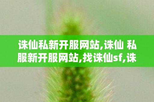 诛仙私新开服网站,诛仙 私服新开服网站,找诛仙sf,诛仙 私服新开服网站