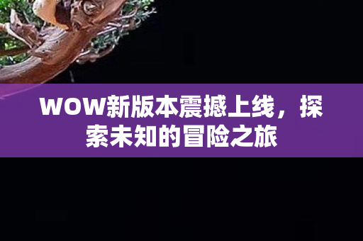 WOW新版本震撼上线，探索未知的冒险之旅