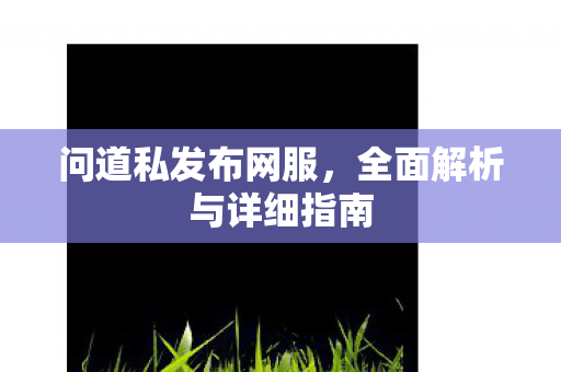 问道私发布网服，全面解析与详细指南