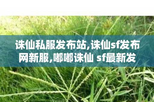 诛仙私服发布站,诛仙sf发布网新服,嘟嘟诛仙 sf最新发布网,诛仙sf发布网新服
