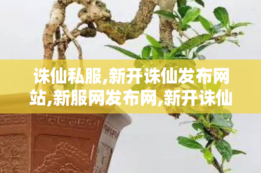 诛仙私服,新开诛仙发布网站,新服网发布网,新开诛仙发布网站