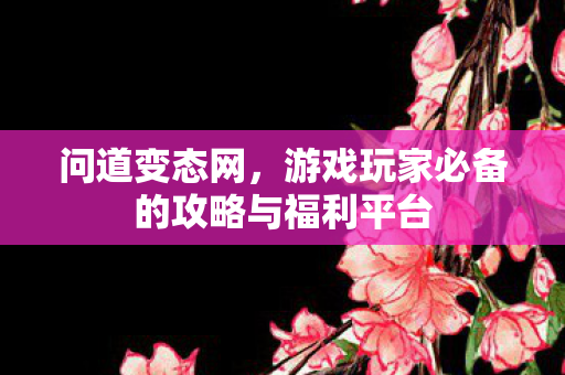 问道变态网，游戏玩家必备的攻略与福利平台