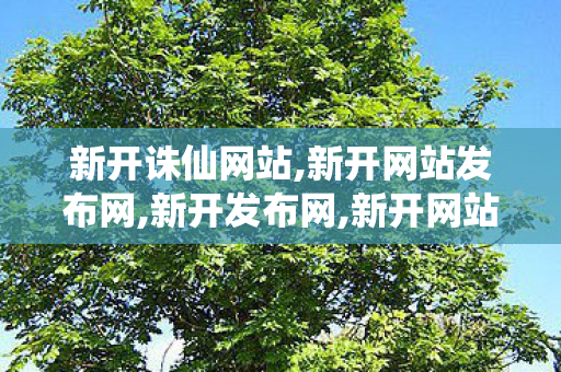新开诛仙网站,新开网站发布网,新开发布网,新开网站发布网