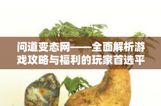 问道变态网——全面解析游戏攻略与福利的玩家首选平台