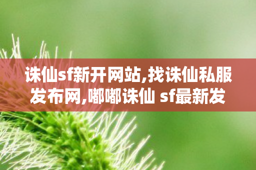 诛仙sf新开网站,找诛仙私服发布网,嘟嘟诛仙 sf最新发布网,找诛仙私服发布网