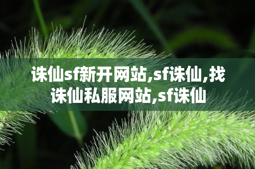 诛仙sf新开网站,sf诛仙,找诛仙私服网站,sf诛仙